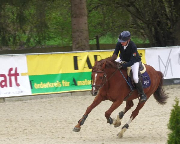 Reitturnier Karlsfeld 2023