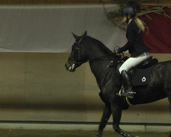 Reitturnier Schwendi 2021