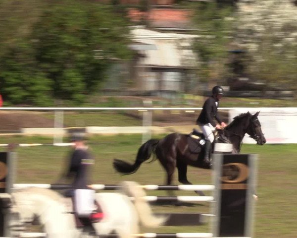 Reitturnier Colbitz 2023