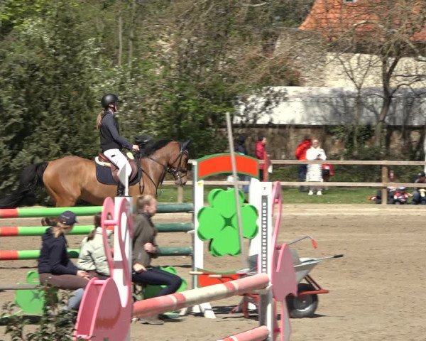 Reitturnier Hildesheim-Steuerwald 2023