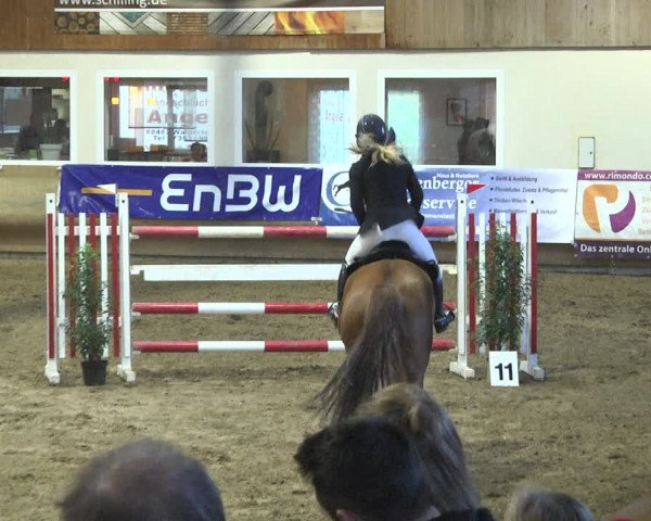 Reitturnier Schwendi 2021