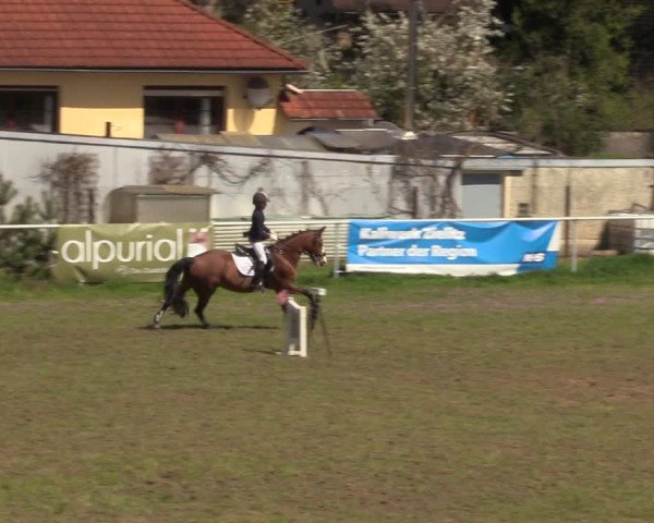 Reitturnier Colbitz 2023