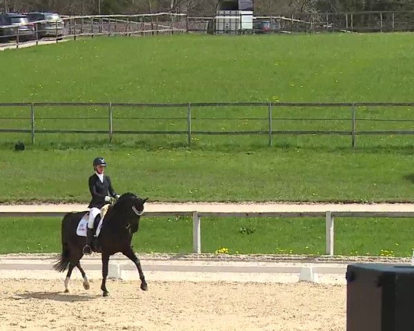 Reitturnier Gut Bohmerhof/Obb. 2023