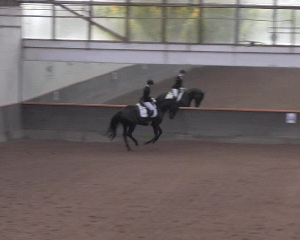 Reitturnier Dallgow 2021