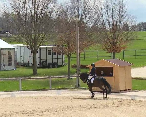 Reitturnier Gut Bohmerhof/Obb. 2023
