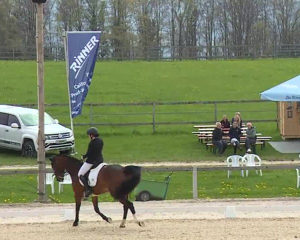 Reitturnier Gut Bohmerhof/Obb. 2023