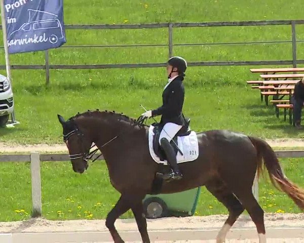 Reitturnier Gut Bohmerhof/Obb. 2023