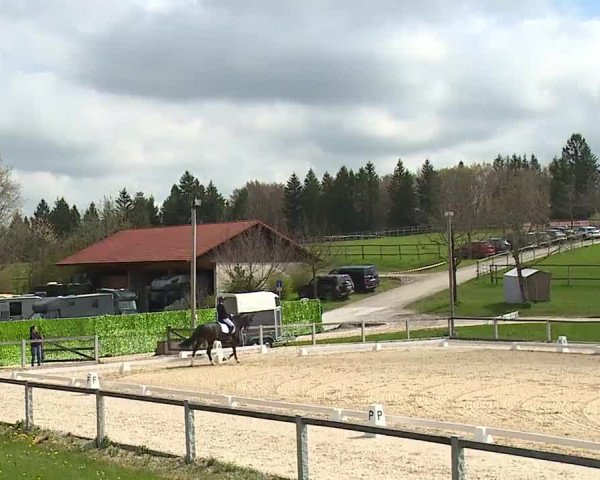 Reitturnier Gut Bohmerhof/Obb. 2023