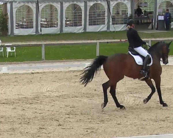 Reitturnier Gut Bohmerhof/Obb. 2023