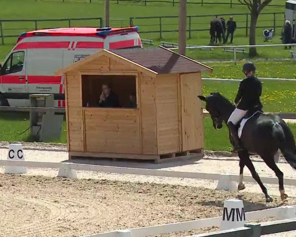 Reitturnier Gut Bohmerhof/Obb. 2023