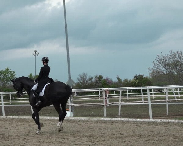 Reitturnier Kottingbrunn 2023