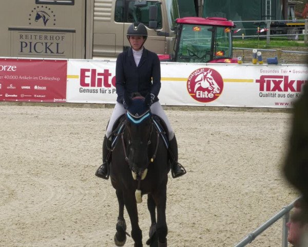 Reitturnier Karlsfeld 2023