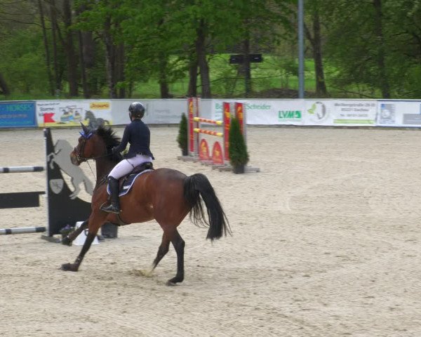 Reitturnier Karlsfeld 2023