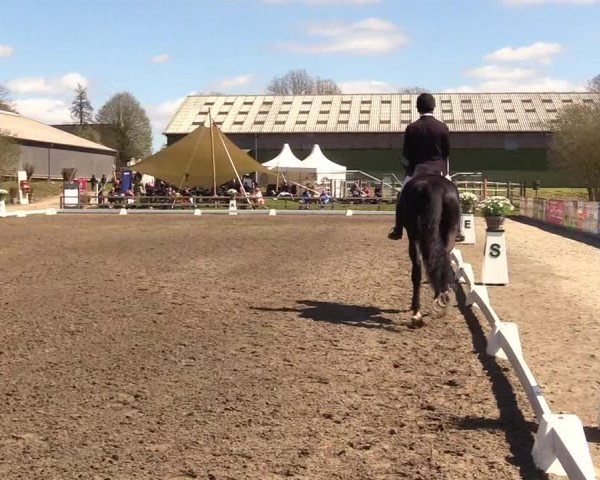 Reitturnier Kleinsolt 2023