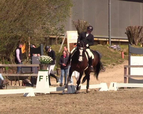 Reitturnier Kleinsolt 2023
