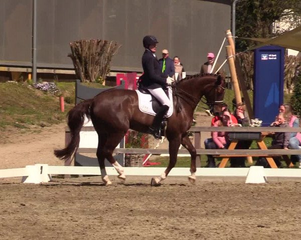 Reitturnier Kleinsolt 2023