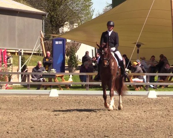 Reitturnier Kleinsolt 2023