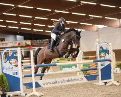 broodmare Daria 128 (Hanoverian, 2011, from Dannebrog)