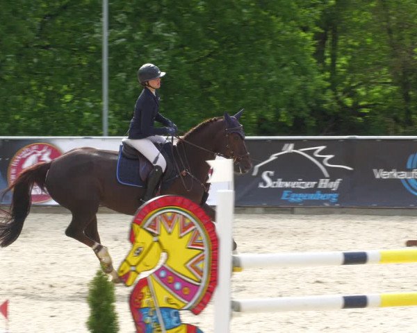 Reitturnier Karlsfeld 2023