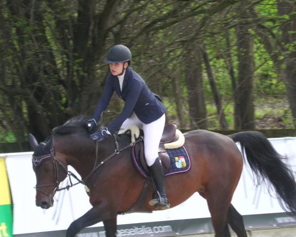 Reitturnier Karlsfeld 2023