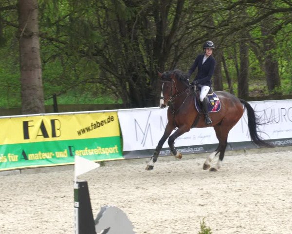 Reitturnier Karlsfeld 2023