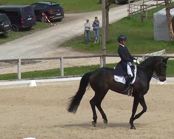 Reitturnier Gut Bohmerhof/Obb. 2023