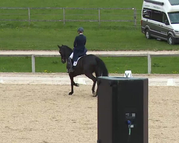 Reitturnier Gut Bohmerhof/Obb. 2023