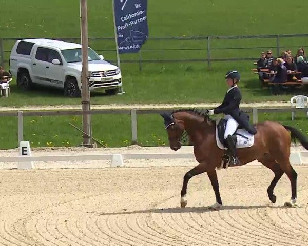 Reitturnier Gut Bohmerhof/Obb. 2023
