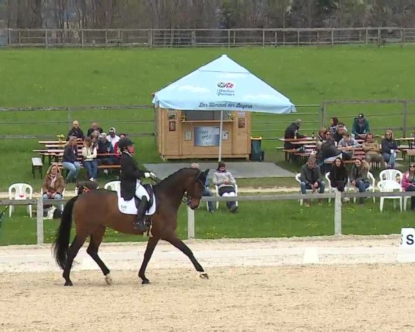 Reitturnier Gut Bohmerhof/Obb. 2023