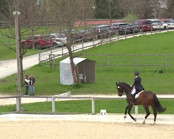 Reitturnier Gut Bohmerhof/Obb. 2023