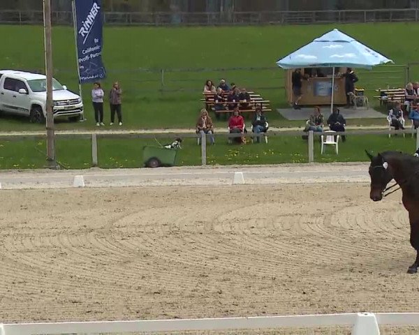 Reitturnier Gut Bohmerhof/Obb. 2023