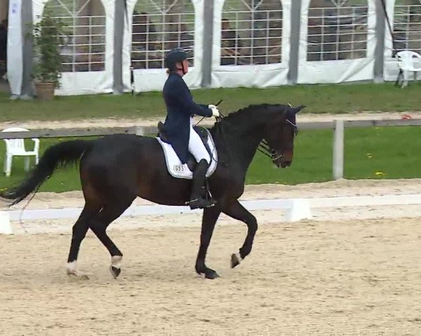 Reitturnier Gut Bohmerhof/Obb. 2023