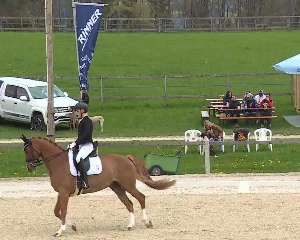 Reitturnier Gut Bohmerhof/Obb. 2023
