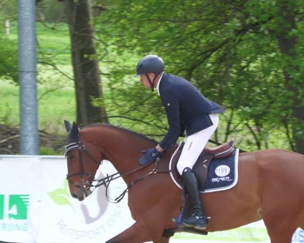 Reitturnier Karlsfeld 2023