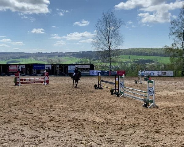 Reitturnier Uslar - Eichenhof 2023