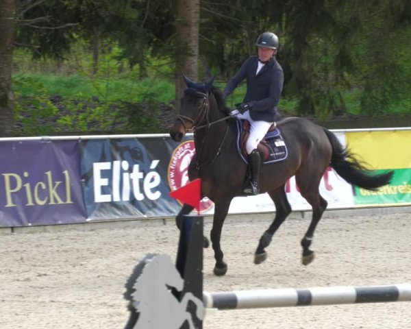 Reitturnier Karlsfeld 2023