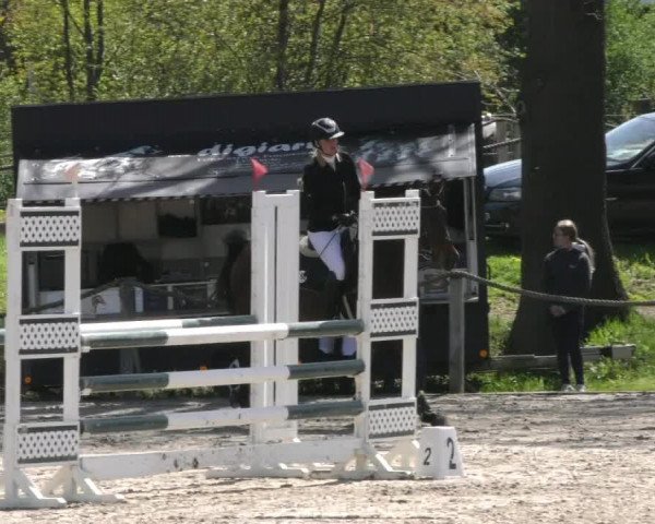 Reitturnier Handorf 2023