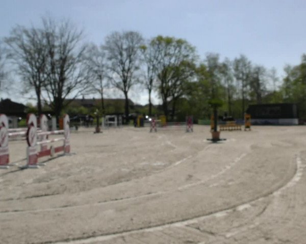 Reitturnier Handorf 2023