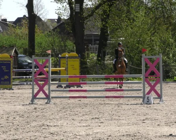 Reitturnier Handorf 2023