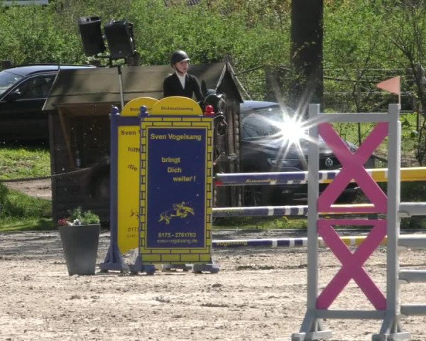 Reitturnier Handorf 2023