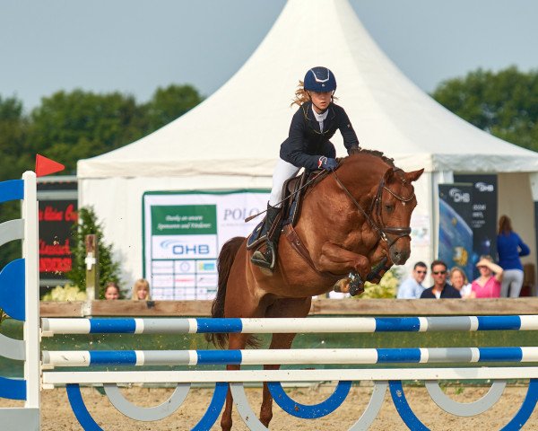 jumper Principessa WH (German Riding Pony, 2012, from FS Pentagon)
