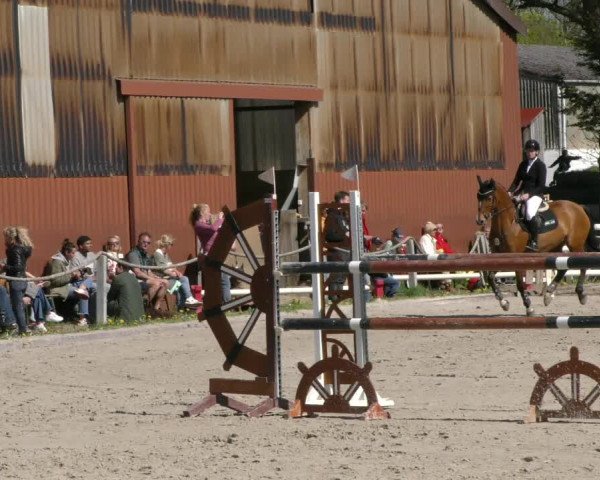 Reitturnier Handorf 2023