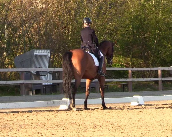 Reitturnier Kleinsolt 2023