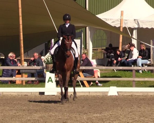 Reitturnier Kleinsolt 2023