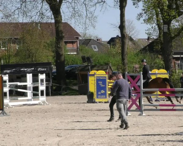 Reitturnier Handorf 2023