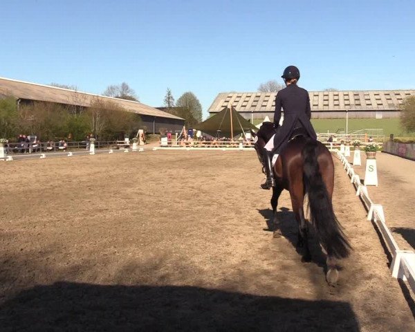 Reitturnier Kleinsolt 2023