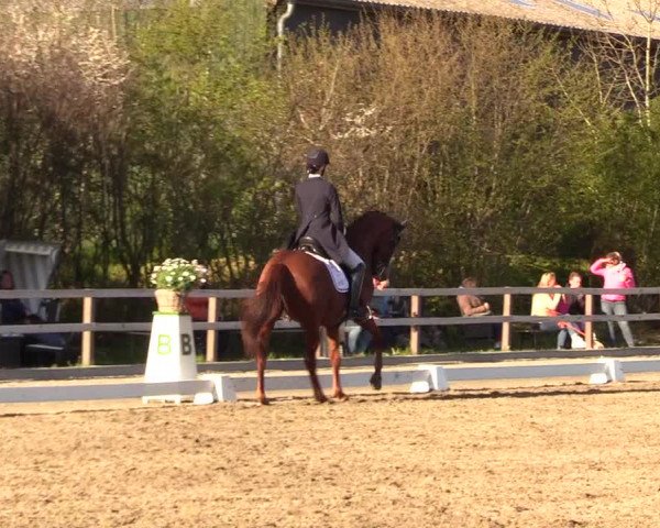 Reitturnier Kleinsolt 2023
