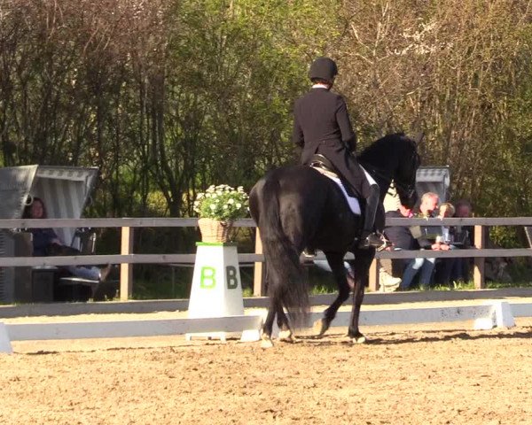 Reitturnier Kleinsolt 2023