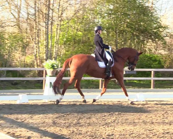 Reitturnier Kleinsolt 2023