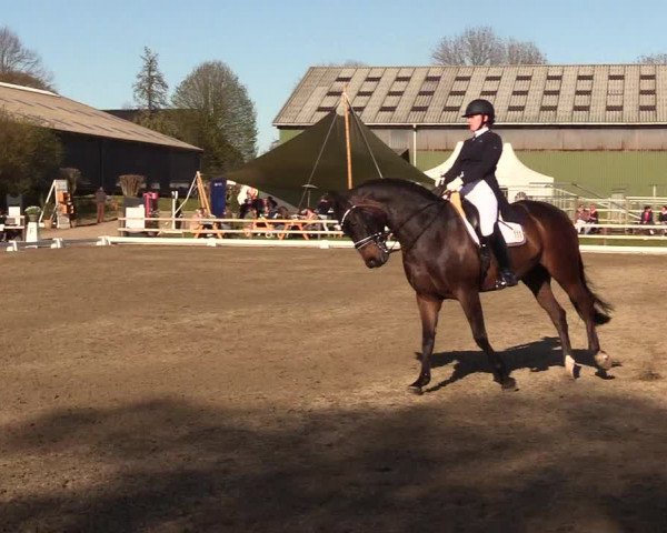 Reitturnier Kleinsolt 2023